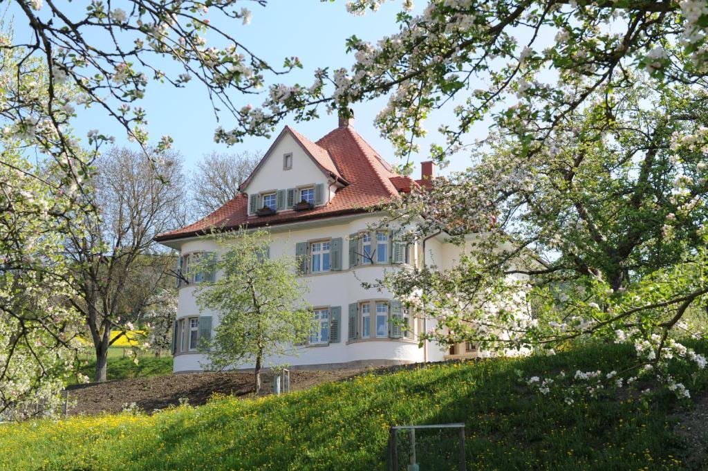 Gasthaus Schwanen & Villa Pfarrhus Stuhlingen Oda fotoğraf